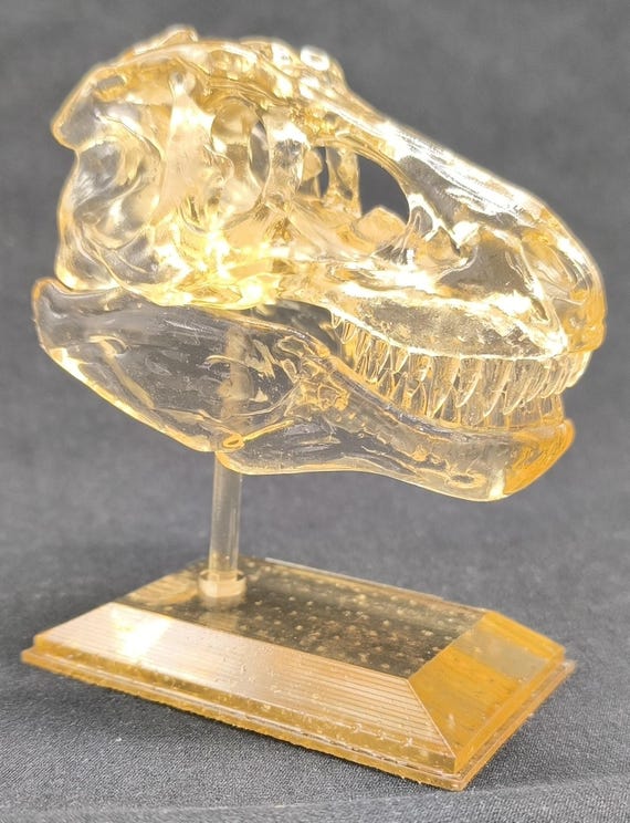 A 3D-printed clear resin T-Rex skull on a custom stand — looks like a crystal artifact a paleontologist wizard would keep on their desk.