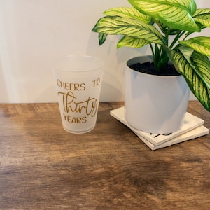K&ouml;nnte beinhalten: Ein durchsichtiger Plastikbecher mit dem Aufdruck "Cheers to Thirty Years" in goldenen Buchstaben. Der Becher steht auf einem Holztisch neben einer Topfpflanze mit gr&uuml;n-wei&szlig;en Bl&auml;ttern.