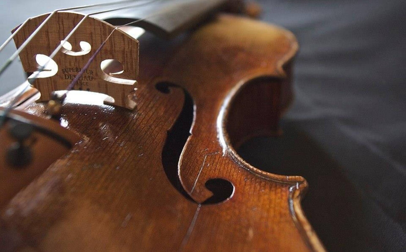 Violin Varnish Brown Golden Varnish Etsy Italia