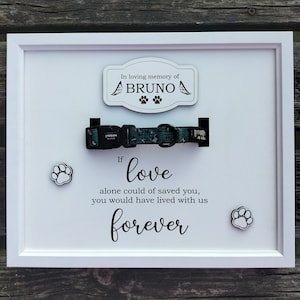 Dog memorial collar frame, pet collar frame, dog collar frame, pet collar memorial, engraved paw print, dog memorial photo frame