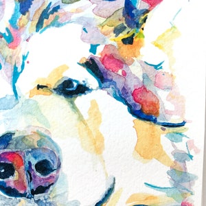 K&ouml;nnte beinhalten: Aquarellmalerei eines Hundefaces. Der Hund ist wei&szlig; mit Spritzern von rosa, blauer und gelber Farbe. Die Zunge des Hundes h&auml;ngt heraus.