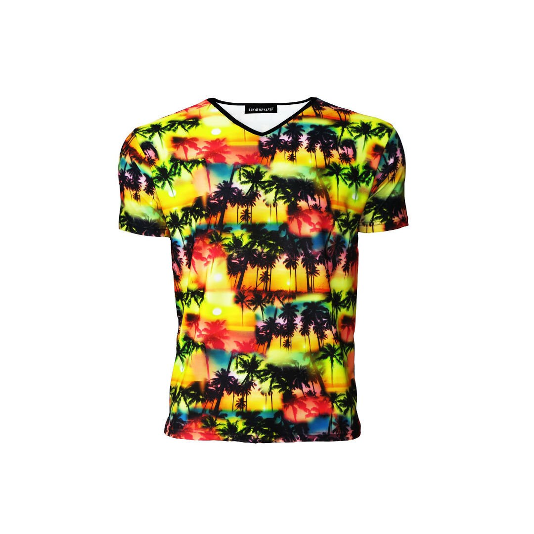 Image of Men's Los Angeles Beach Colourful Exotic Palm Trees Sunset Printed V-Neck Tshirt