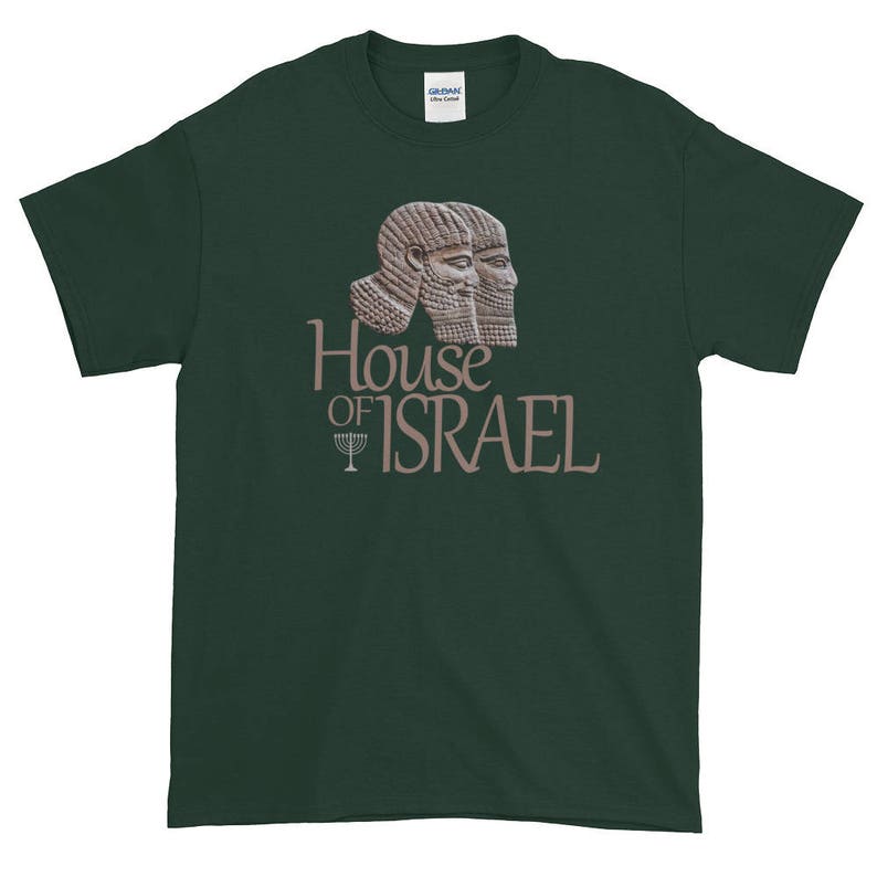 May include: A dark green t-shirt with a brown image of two ancient Assyrian figures with the text "House of Israel" and a menorah symbol.