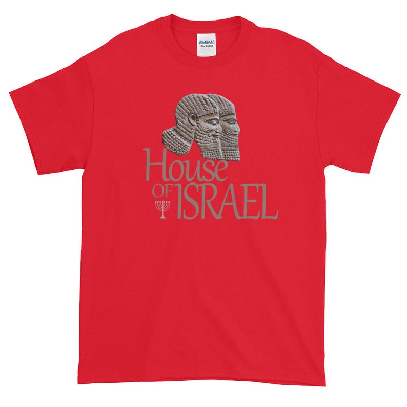 May include: Red short-sleeved t-shirt with a gray image of two ancient Assyrian figures and the text "House of Israel" with a menorah symbol.