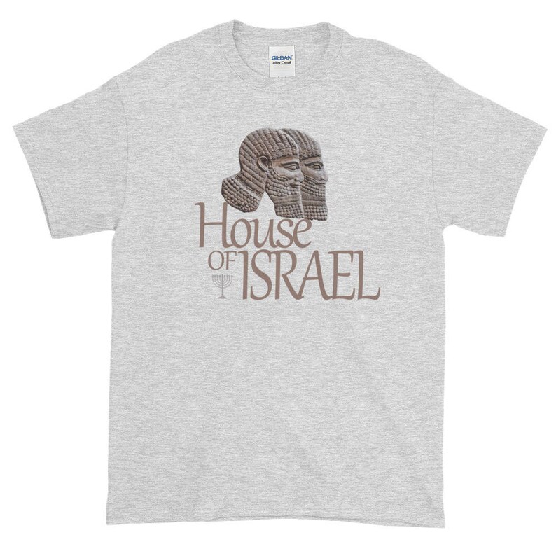 May include: A gray t-shirt with a brown image of two ancient Assyrian kings with the text "House of Israel" printed below.