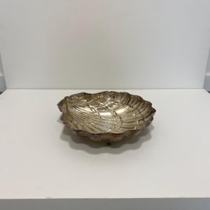 May include: A silver-colored, shell-shaped decorative bowl. The bowl has a scalloped edge and a textured interior with radiating lines. The bowl is sitting on a white surface.