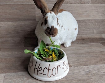 rabbit feeding bowls
