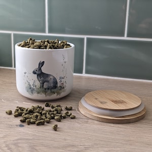 Rabbit Treat Jar - rabbits, rabbit lover, rabbit gifts, bunny lover, bunny gifts