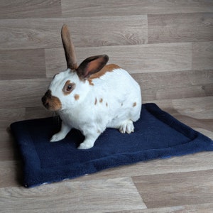 Rabbit Lap Protector Waterproof, Blue image 1