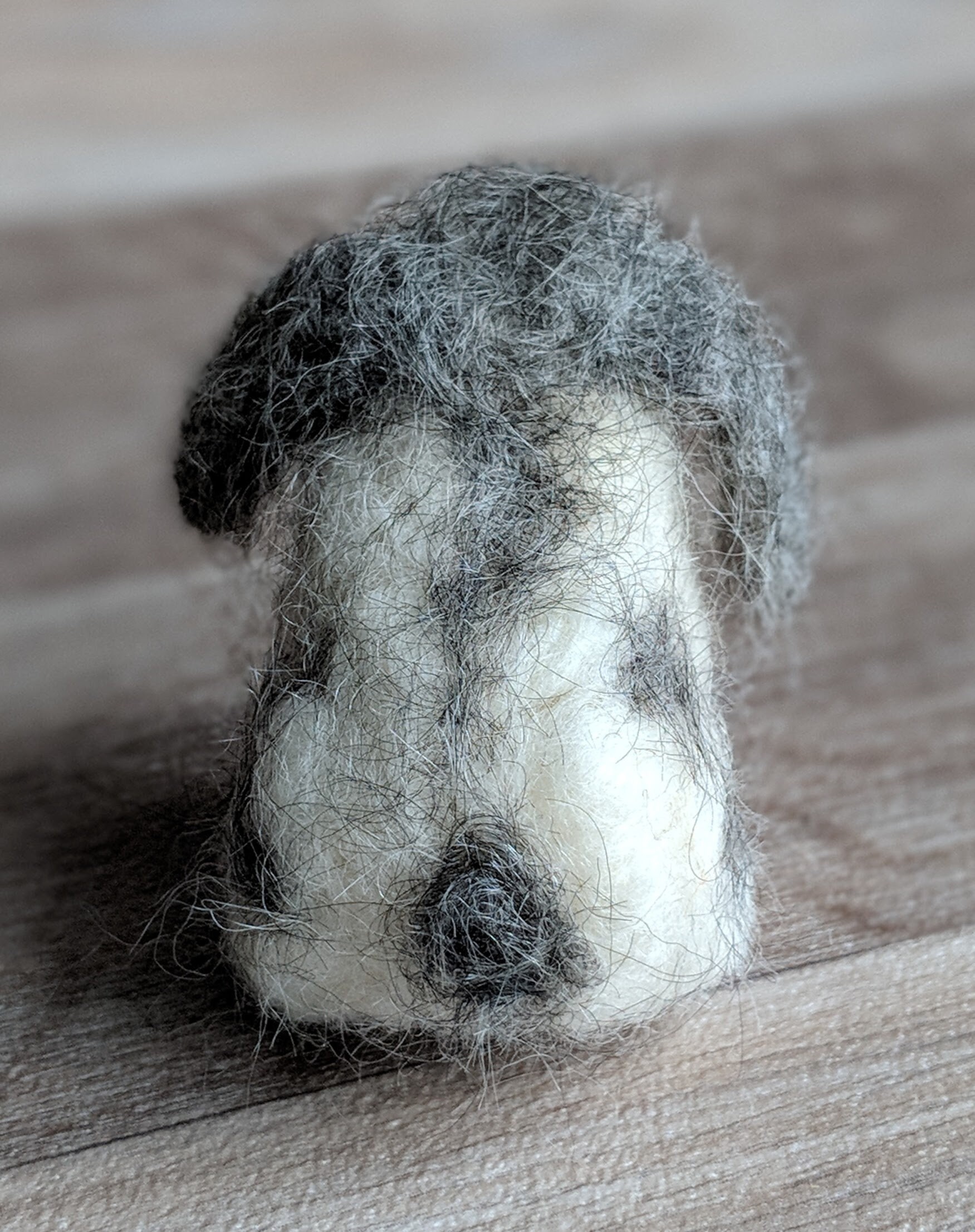 Flora the Lop Rabbit Needle Felting Craft Kit Etsy