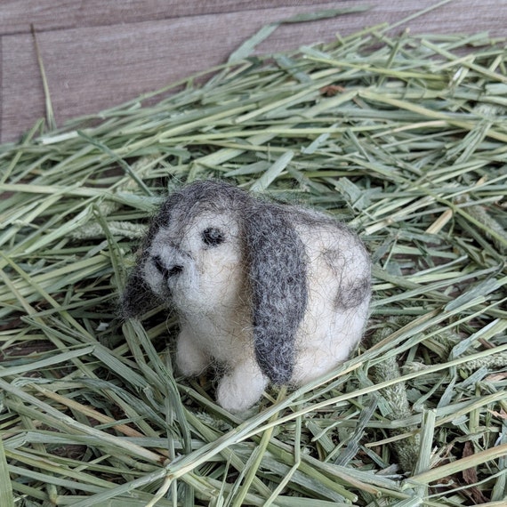 flora rabbit