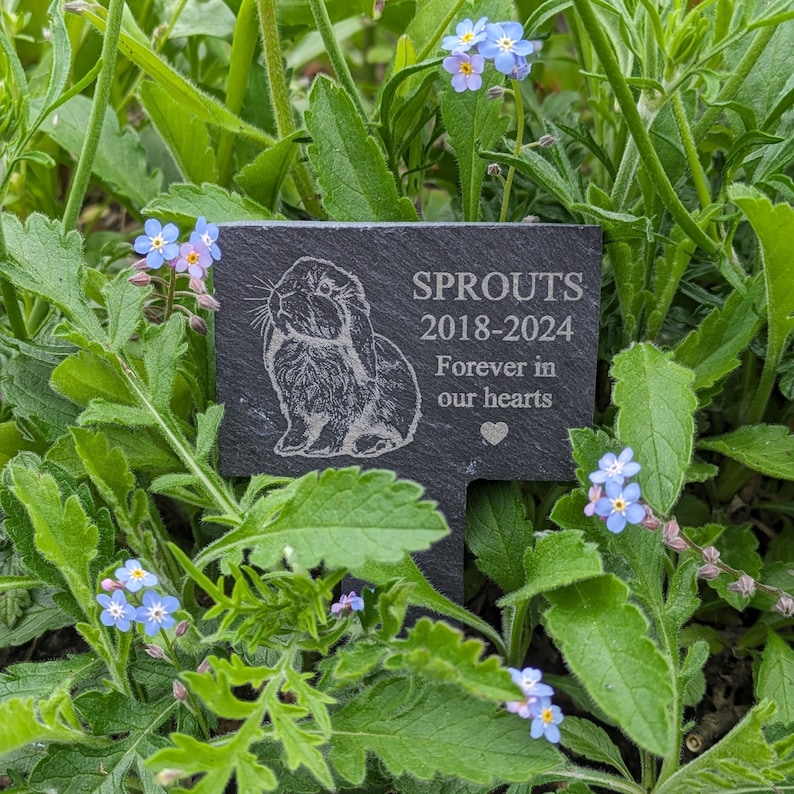 Puede incluir: Un marcador de jard&iacute;n de pizarra negra con el texto "SPROUTS 2018-2024 Forever in our hearts" y un peque&ntilde;o s&iacute;mbolo de coraz&oacute;n. Una imagen en blanco y negro de un conejo est&aacute; en el marcador. El marcador est&aacute; rodeado de plantas verdes y flores azules de nomeolvides.