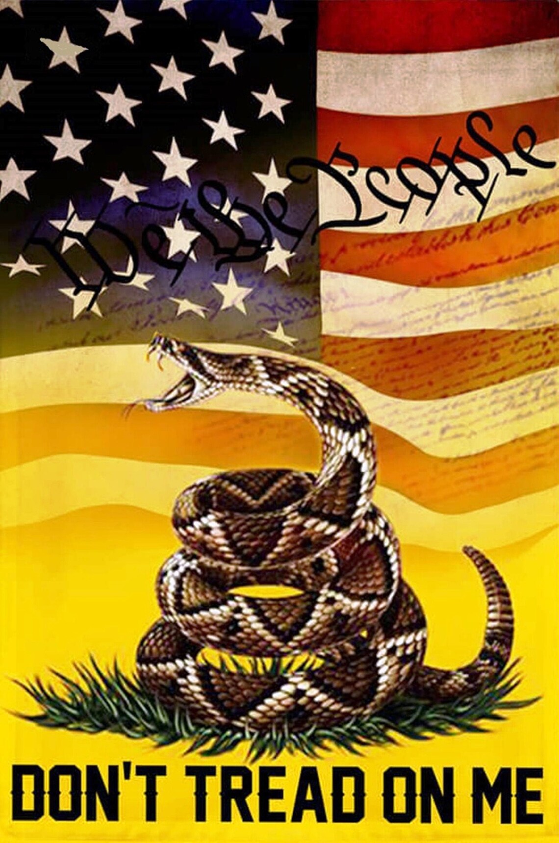 Don't Tread on Me We the People American Sublimated Double Etsy