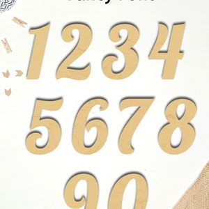 Wooden Numbers/Acrylic Unfinished Numbers for Crafting/Fancy Modern Basic Fonts image 2
