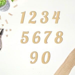 Wooden Numbers/Acrylic Unfinished Numbers for Crafting/Fancy Modern Basic Fonts image 1