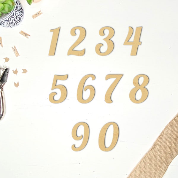 Wooden Numbers/Acrylic Unfinished Numbers for Crafting/Fancy Modern Basic Fonts