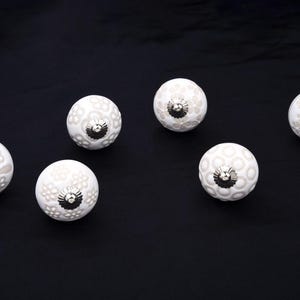 White Ceramic Cabinet Knobs with Beige Floral Pattern (Set of 6)