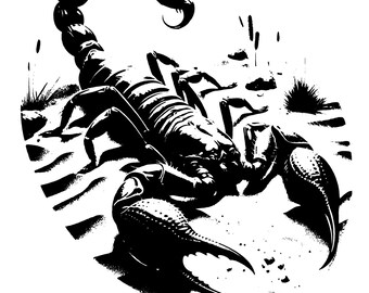 May include: Black and white illustration of a scorpion on a sandy surface. The scorpion is facing the viewer with its tail raised.