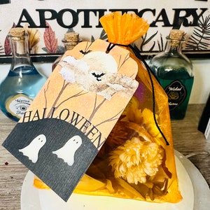 Samhain Simmer Pot Spell, Halloween Simmer Pot Spell, Simmer Pot Spell, Fall Scent Simmer Pot, Simmer Pot Fall Season, Wiccan Spell Bag, Bag