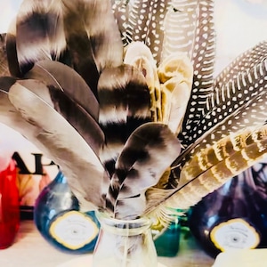Feathers, Natural Spotted Guinea Fowl Wing Feathers, Reeded Chicken Feathers, Turkey Feathers, Duck Feathers, Wiccan Feathers Magic, Feather