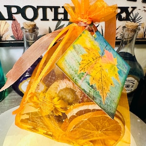 Mabon Simmer Pot, Mabon Simmer Pot Spell Bag, Mabon Harvest Simmer Pot Spell, Mabon Harvest Simmer Pot Spells, Mabon, Simmer Pot, Simmer Bag