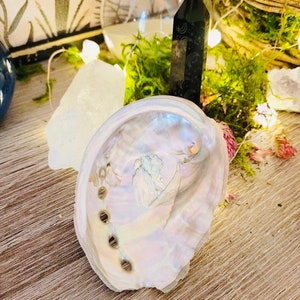Abalone Shell- Abalone Shell, Abalone shell smudging, Abalone shell Wiccan, Abalone shell Magic, Abalone Magical Shell, Abalone Smudging
