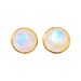 Moonstone Vermeil 14k Gold Over Sterling Silver Stud Earring