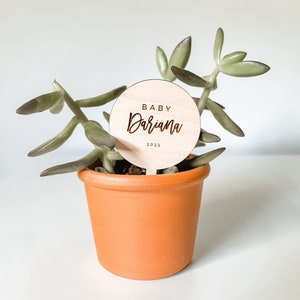 May include: A small potted succulent plant with a wooden sign that says "BABY Dariana 2022".