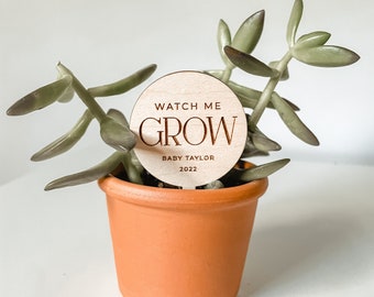 Watch Me Grow Plant Tag Favor | Baby Shower Favor | Mini Succulent Favor | Baby Sprinkle | Wooden Personalized Plant Tags | Succulent Favor