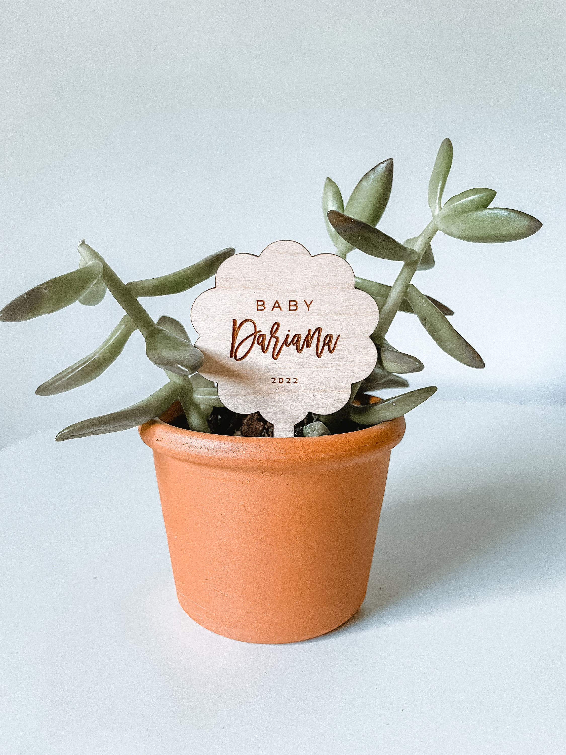 Baby Shower Plant Tag Favor Baby Shower Favor Mini Etsy