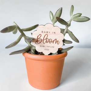 Baby In Bloom Plant Tag Favor | Baby Shower Favor | Mini Succulent Favor | Baby Sprinkle | Wooden Personalized Plant Tags | Baby Shower