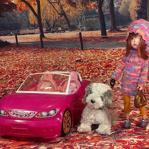 May include: A bright pink toy convertible car with white interior seats, a plush white and gray toy dog, and a doll wearing a multicolored knit hooded sweater, yellow leggings, and blue shoes, holding a small brown handbag by its handle.