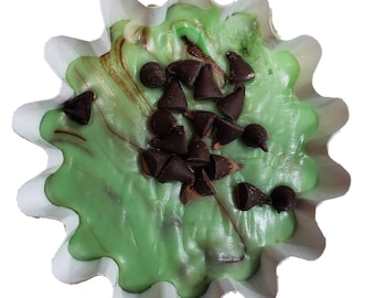 Mint Chocolate Chip Fudge Cup - 2.25 Ounces