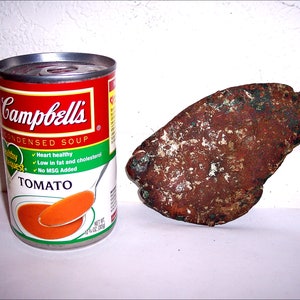 May include: A red and green can of Campbell's Condensed Tomato Soup. The can has a spoon on it and the soup is visible inside. The can is next to a rusty, brown, and green metal object.