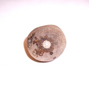 MAKE OFFER: 1.64 Oz. Natural Inner Mongolia Gobi Eye Agate Crystal Display Specimen! E662