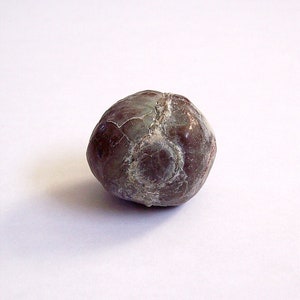 COLLECTIBLE 22.2 Gr. Rough Dragon&#39;s Egg &quot;Prophet&#39;s Stone&quot; Septarian Nodule! E639