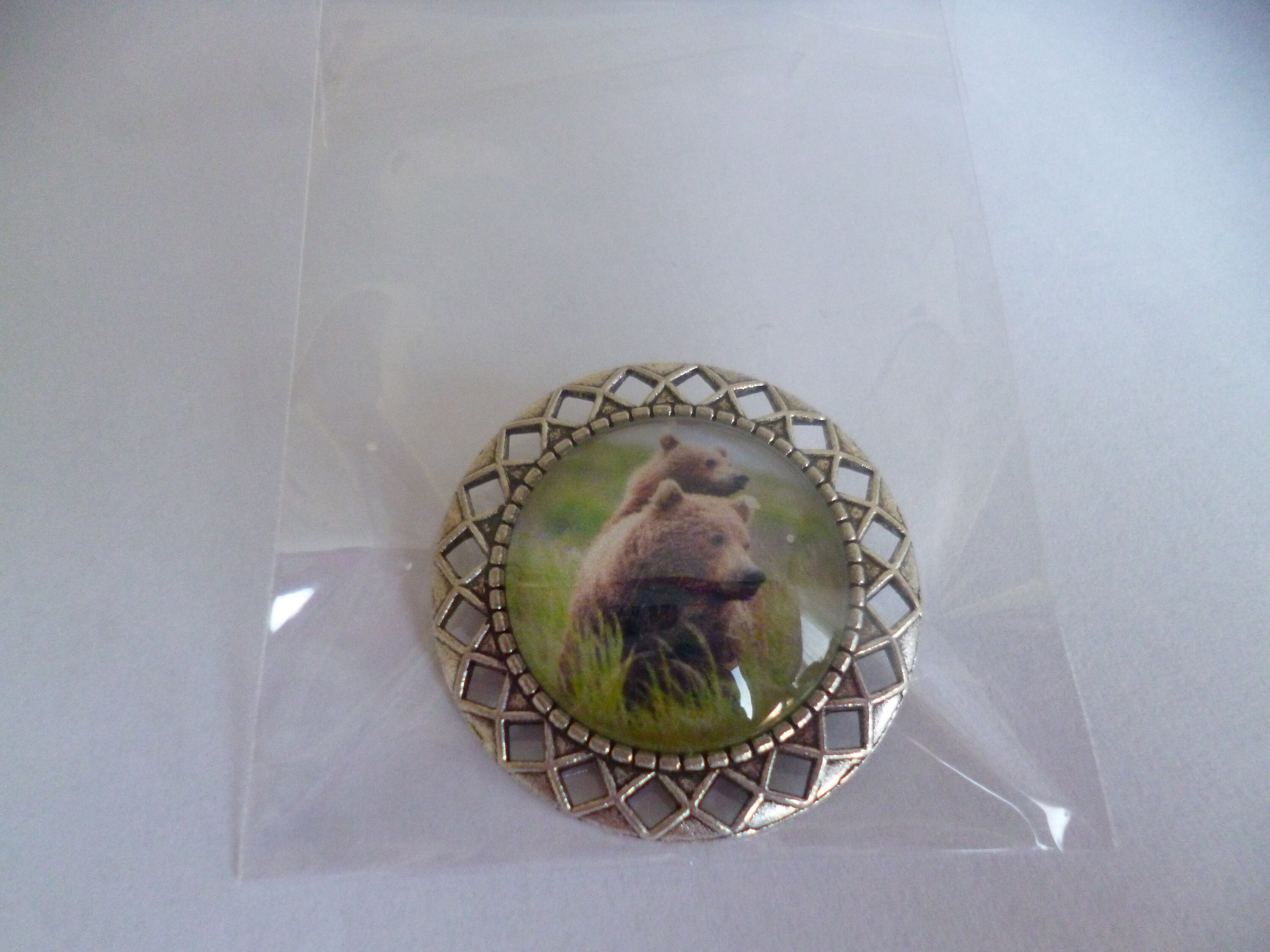 Broche épingle Argent Avec Cabochon Forêt – Diamètre 25 Mm, Verre, Neuf Sans Emballage