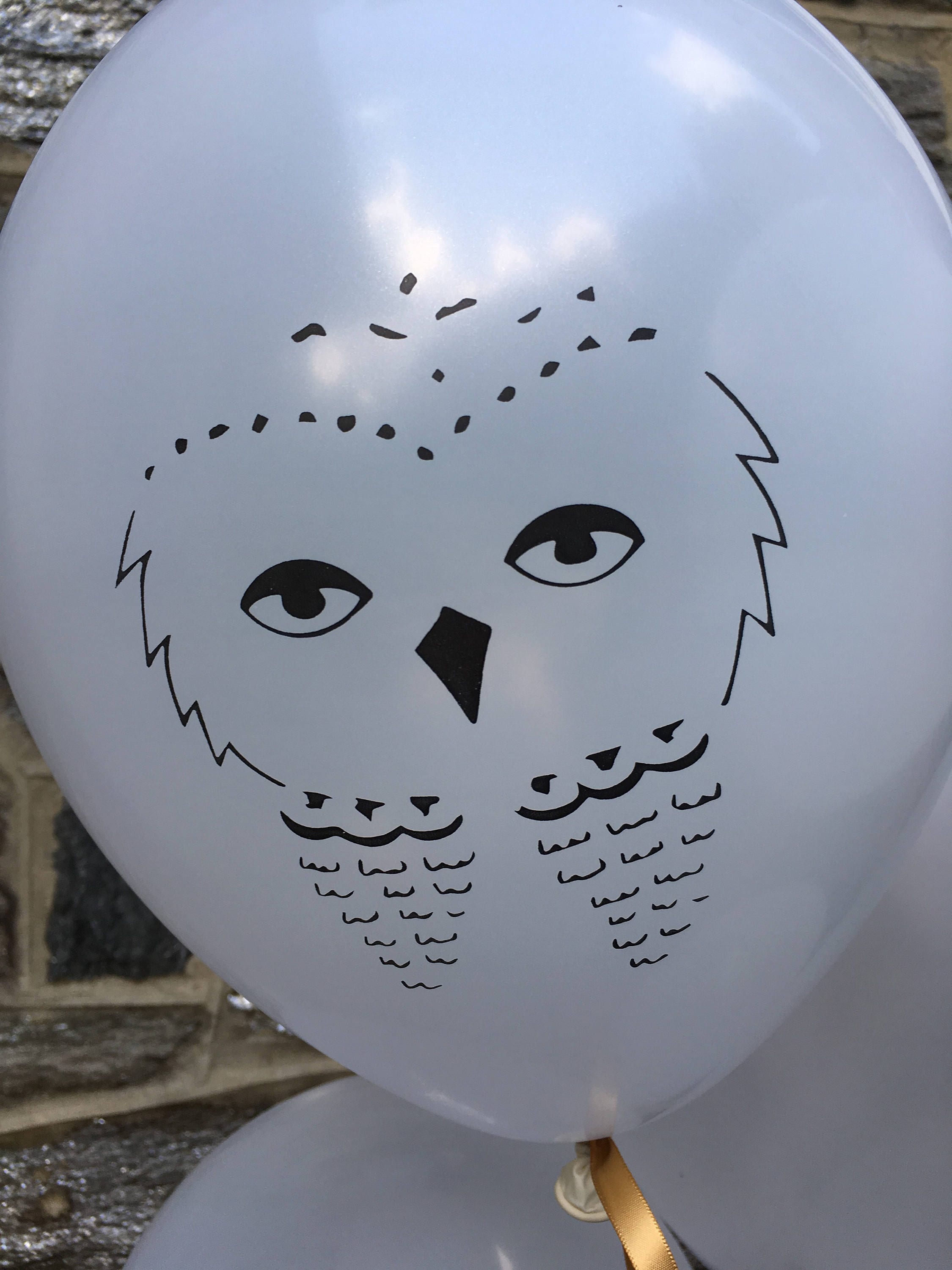 PotterThemed Owl Balloons White Latex 6 CT Hedwig Etsy