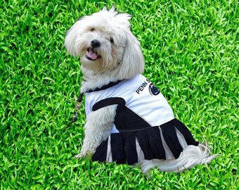 T Bird Dog Jacket - Etsy