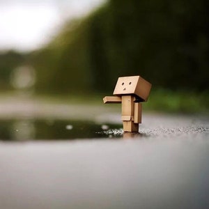 Danbo mini image 5