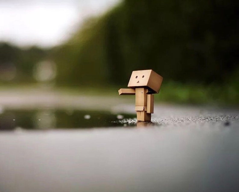 Danbo mini image 5