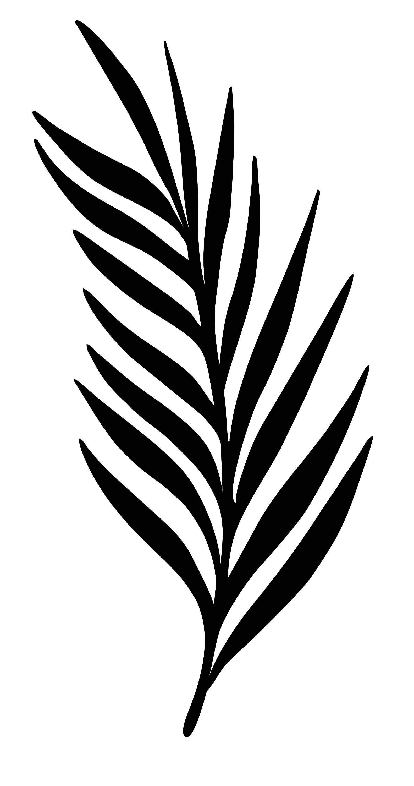 Feuille de Palmier 40 cm. Mdf 3mm.