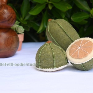 felt food, felt fruit, felt lime, home decor