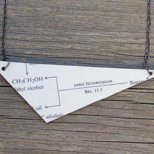 Science necklace, leather - Fermentation