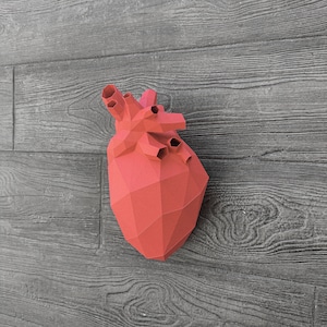 Papercraft Human Heart Template – Low Poly 3D Model (PDF, SVG, DXF) - Etsy