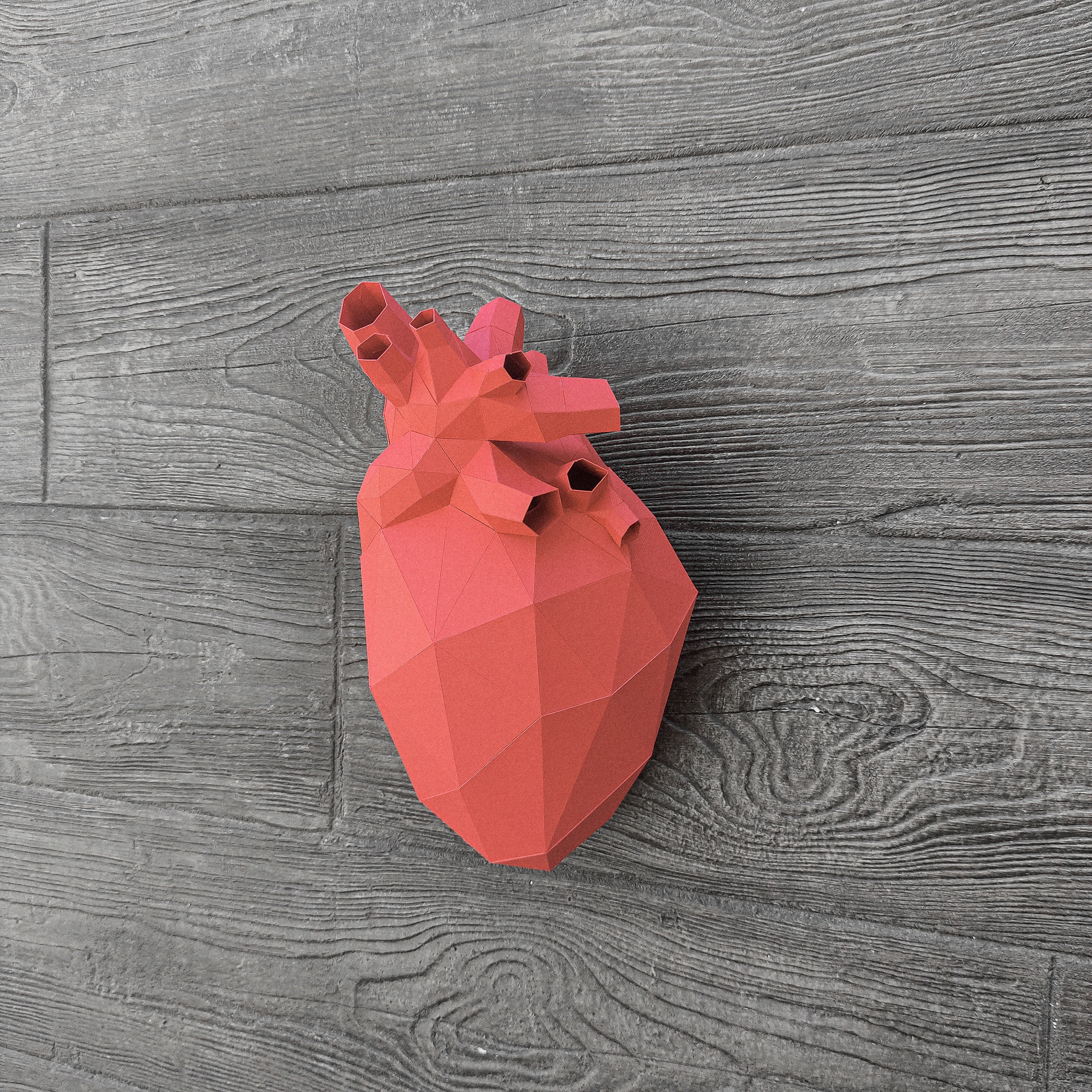 Papercraft Human Heart Template – Low Poly 3D Model (PDF, SVG, DXF) - Etsy