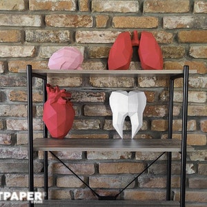 3D Papercraft: menselijke organen: zelfgemaakt laag poly-sculptuur (pdf-patroon)