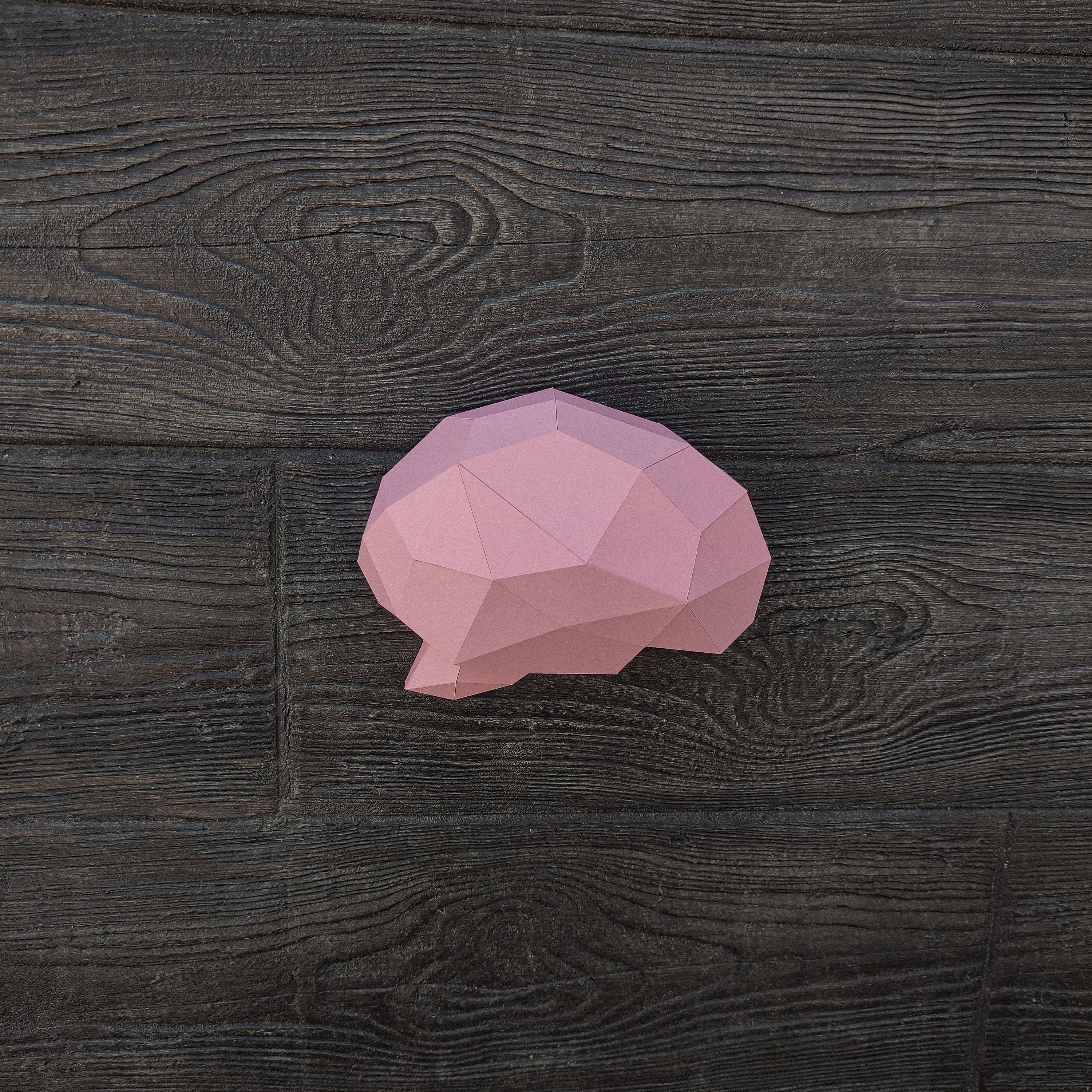 DIY Papercraft Human Brain Sculpture: Low Poly Wall Decor (PDF Pattern ...
