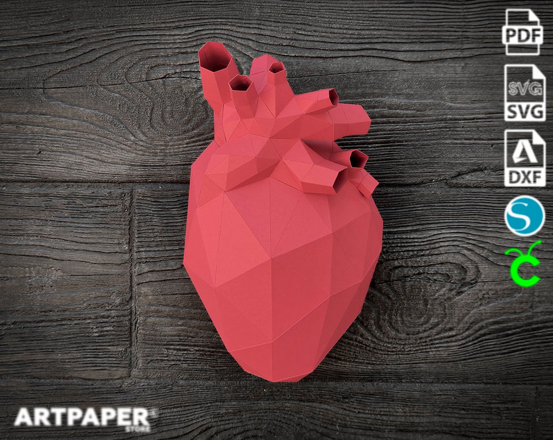 Papercraft Human Heart Valentines Day 3D Low Poly Paper Sculpture DIY