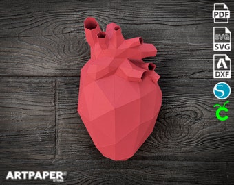 Papercraft Human Heart Template – Low Poly 3D Printable Pdf Svg Dxf – Anatomical DIY Paper Model Decor